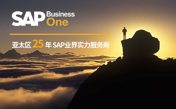 SAP ERP系统,SAP ERP能为企业做什么,SAP,ERP解决方案,SAP ERP