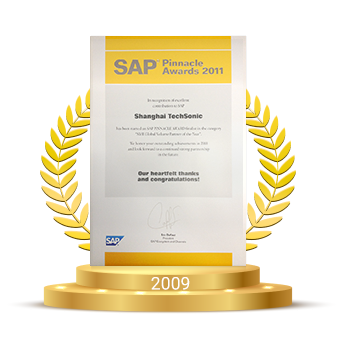 2009  SAP Pinnacle Award