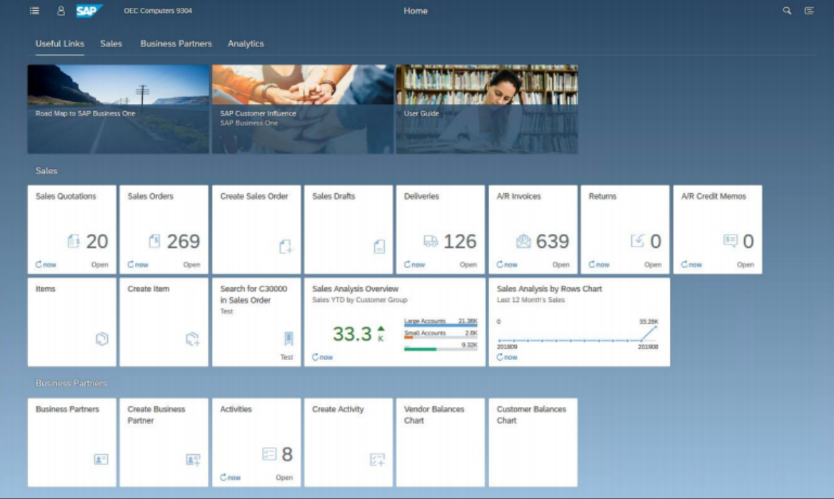 SAP Business One Web 客户端