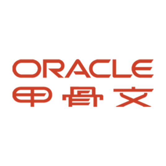 Oracle ERP