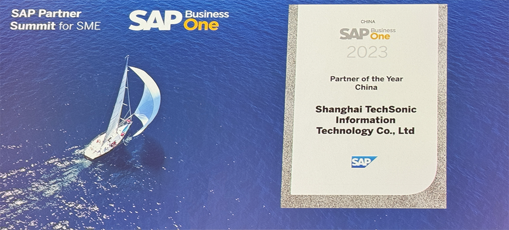 2024 SAP Business One销售业绩奖